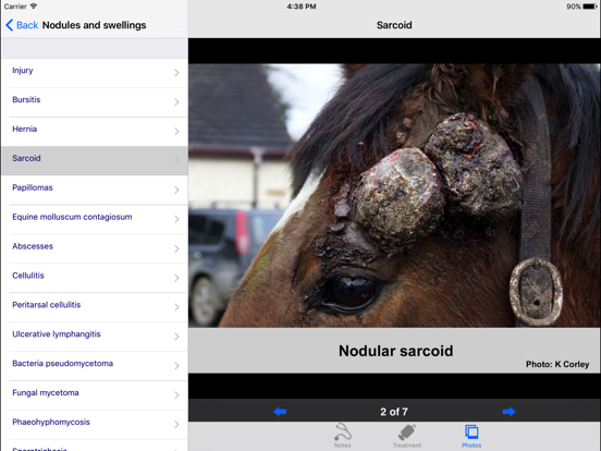 Screenshot #4 pour Equine Dermatology