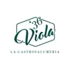 Viola 1936 Gastrosalumeria problems & troubleshooting and solutions