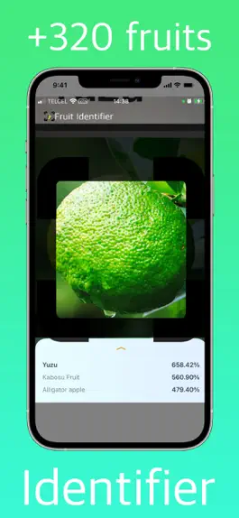 Game screenshot Fruit Identifier apk
