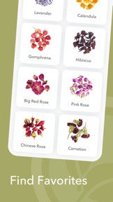 The Tea: Brewing Guide screenshot
