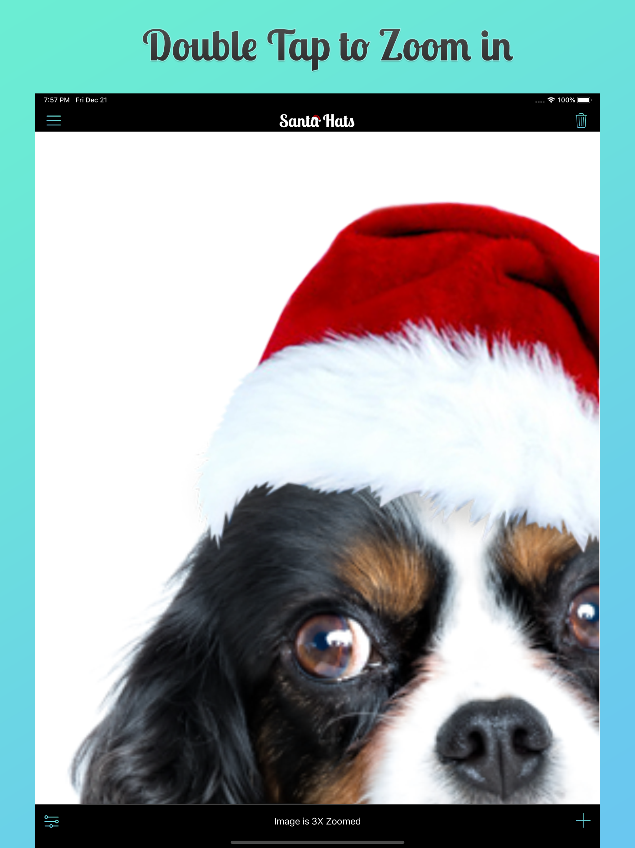 Santa Hats 2 screenshot 19