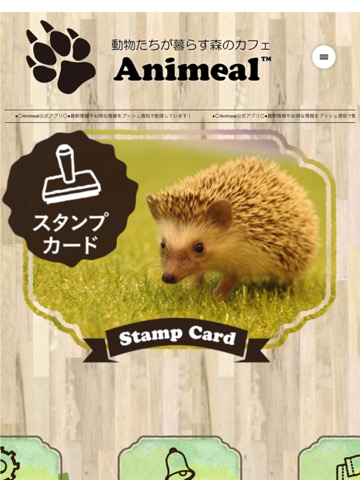 動物たちが暮らす森のカフェ Animeal（アニミル）のおすすめ画像2