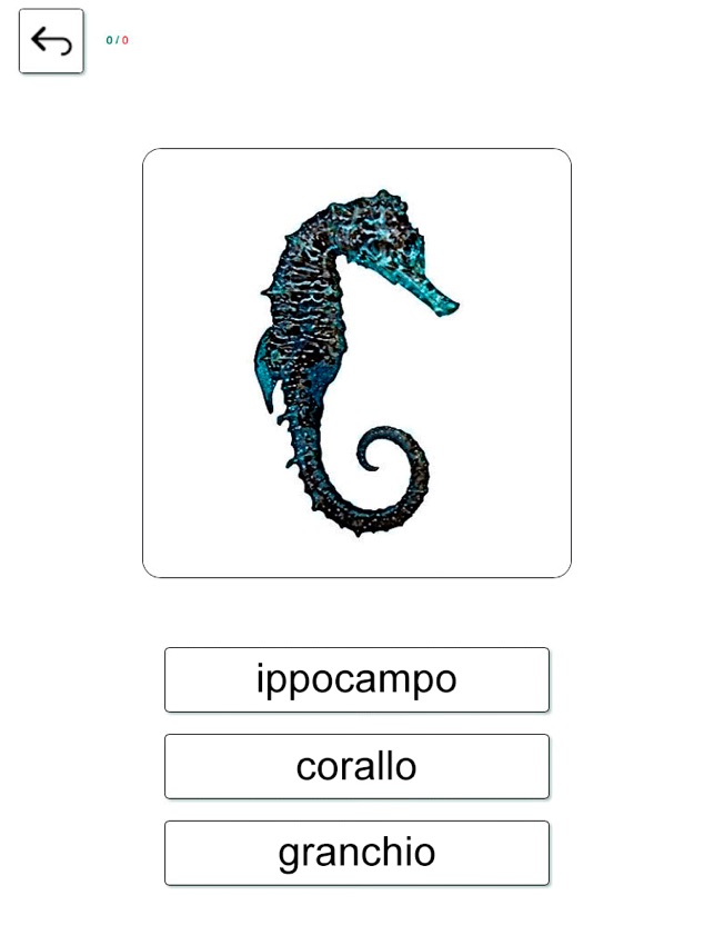 学び 遊びます イタリア語 をapp Storeで