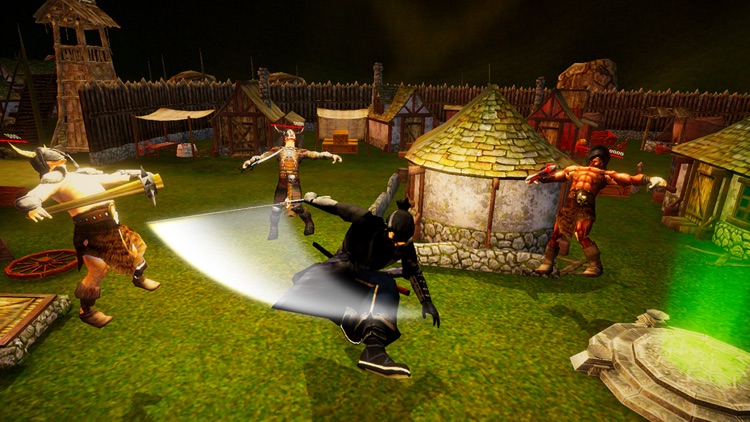 Shadow Ninja Warrior Assassin