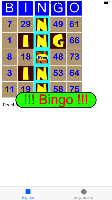 BingoCard Screenshot