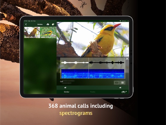 The Golden Safari Guide iPad screenshot 5 - Reference app