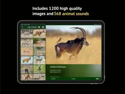 The Golden Safari Guide iPad image 3