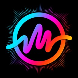 MV Master - Status Video