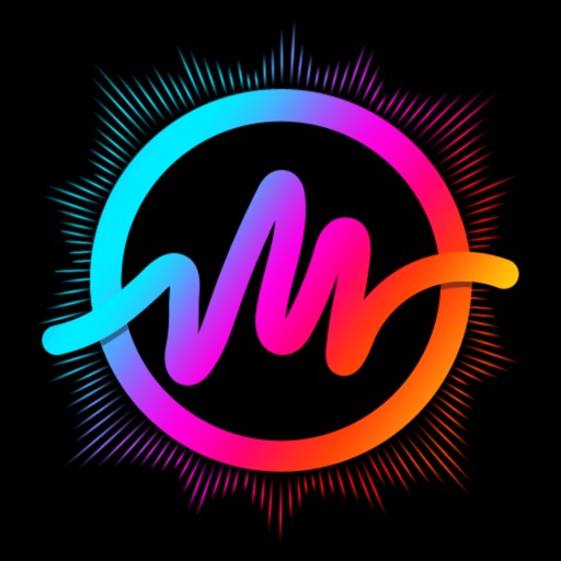 MV Master - Status Video