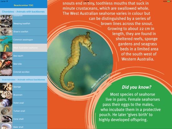 Screenshot #5 pour Beachcomber