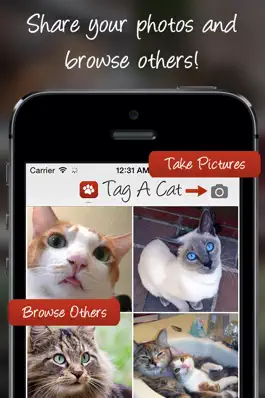 Game screenshot Tag A Cat - The Cat Photo App mod apk