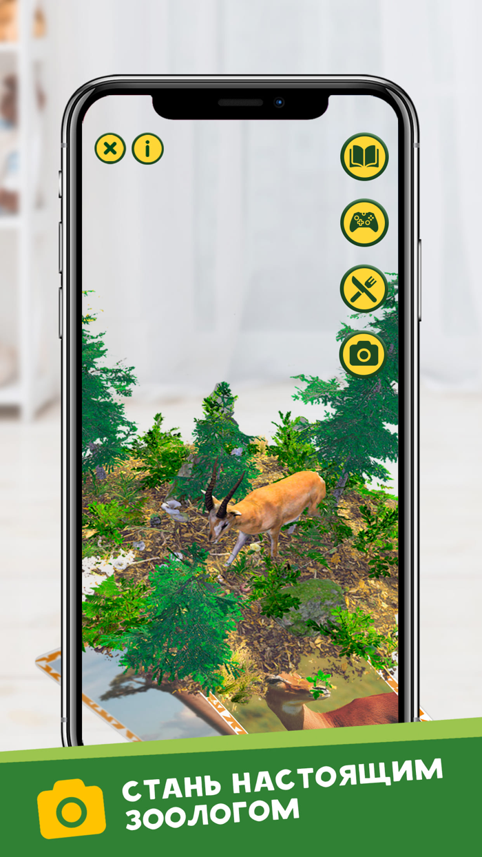 Живая Планета 4D