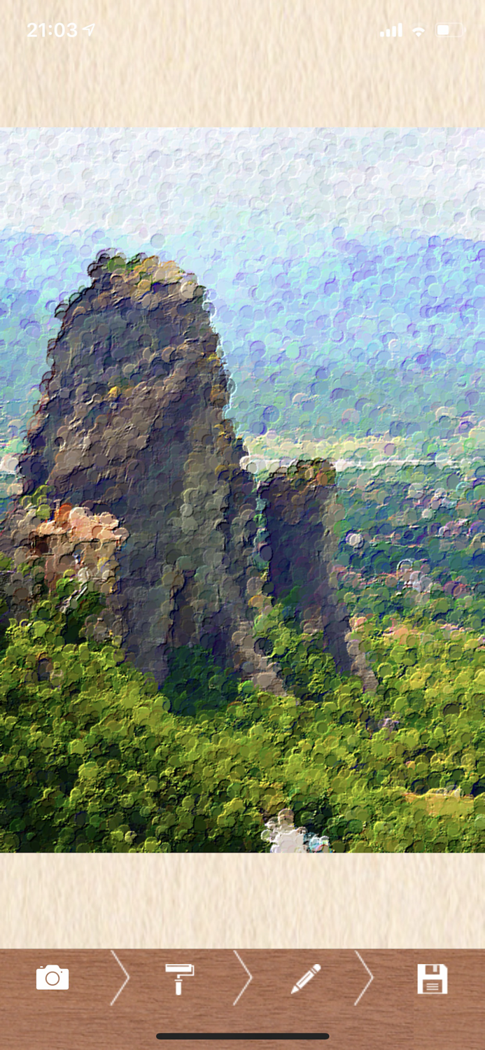 Impressionism Camera