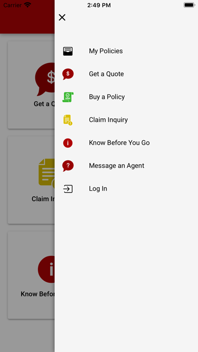 Mexican Auto Insurance Screenshot