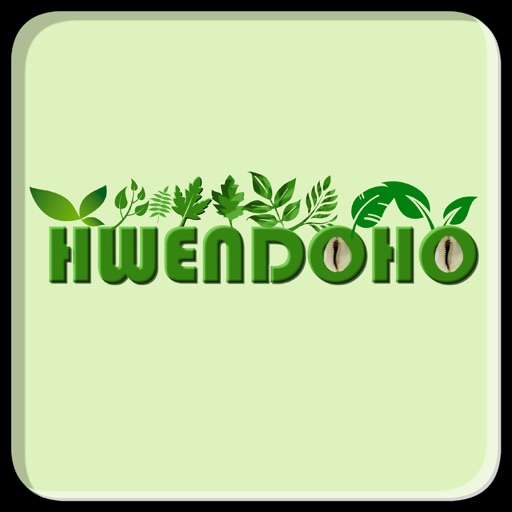 Hwendoho : Médias endogènes