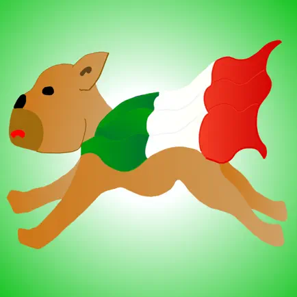 Verb Conjugations Italian Cheats