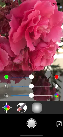 Game screenshot Phofi apk