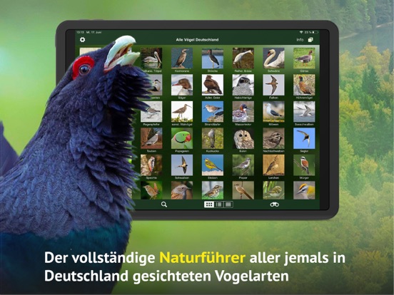 Screenshot #5 pour Alle Vögel Deutschland