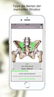 anatomie quiz lite iphone bildschirmfoto 3