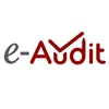 e-Audit