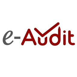 e-Audit