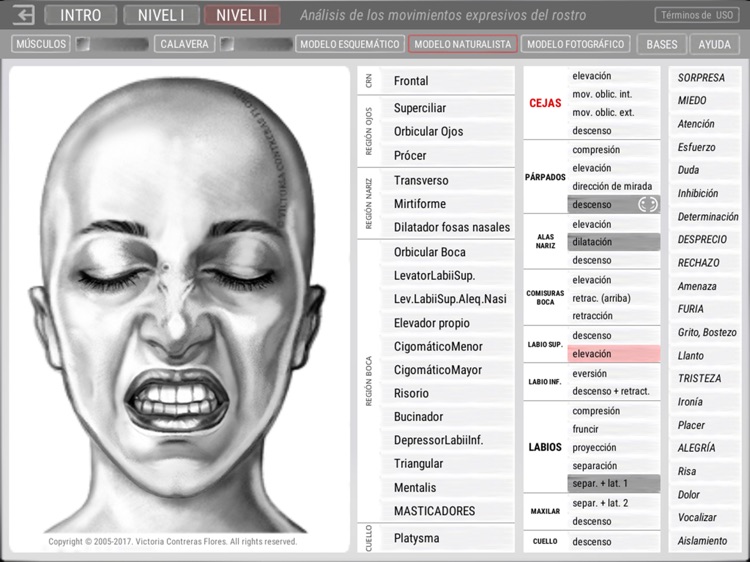 ARTNATOMYA (en español) screenshot-3