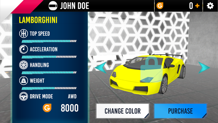 Auto Racing Driver Simulation