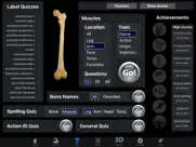muscle & bone anatomy 3d айпад изображения 3