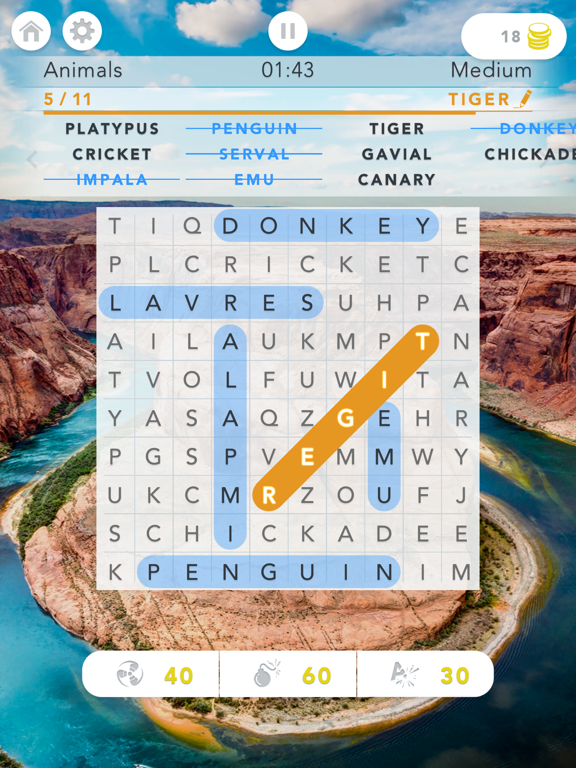 Word Search - Puzzle Finder screenshot 14