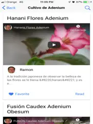 mis adenium y sus cuidados ipad capturas de pantalla 3