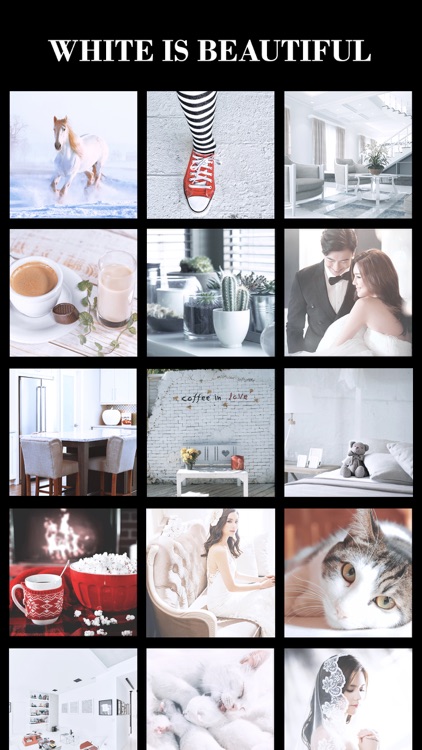 Whitecam - White is Beautiful