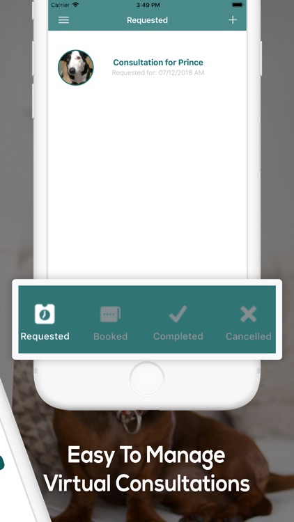 The VVG (Virtual Vet Group) screenshot-3