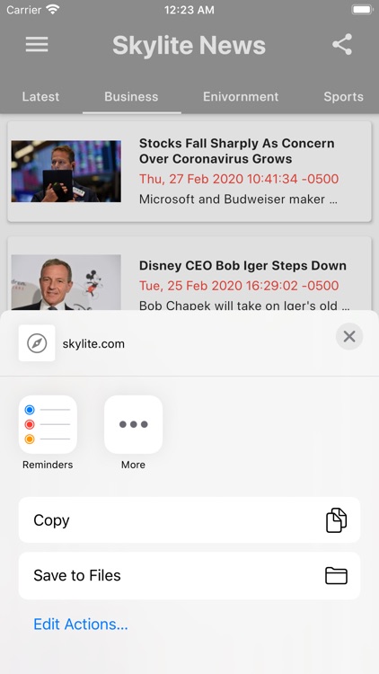 Skylite News screenshot-3