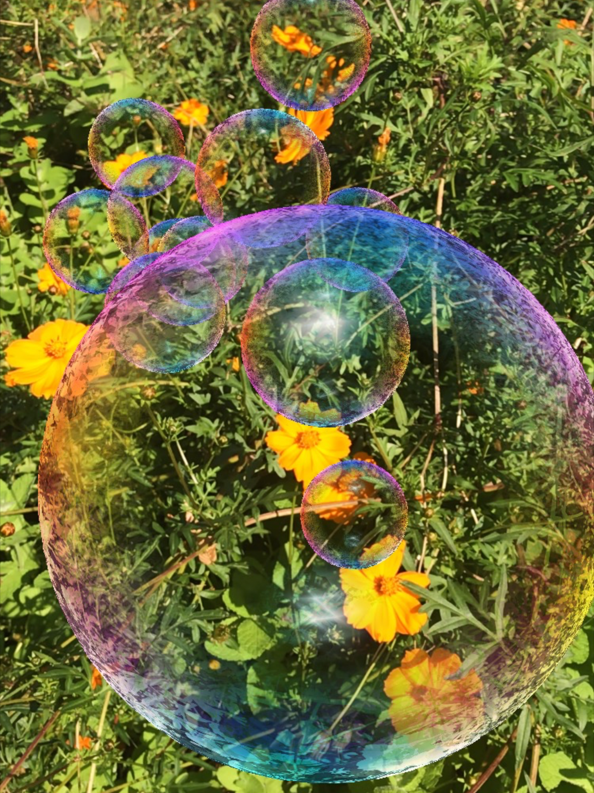 Bubbles AR/MR