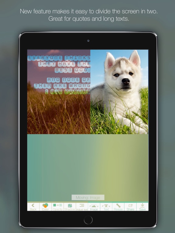 Pexture - Text on photo iPad screenshot 4 - Photo & Video app