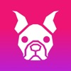 Dog Whistle & Clicker icon