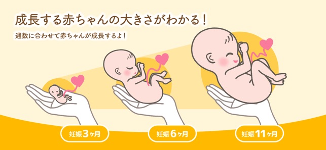 ママびより 妊娠から出産 育児まで使える情報アプリ Dans L App Store