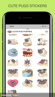 cute pug puppies problems & solutions and troubleshooting guide - 1