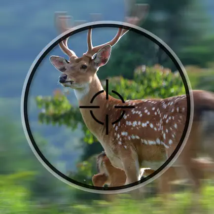 Hunting Cam+ Читы