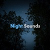 Night Time Sounds icon