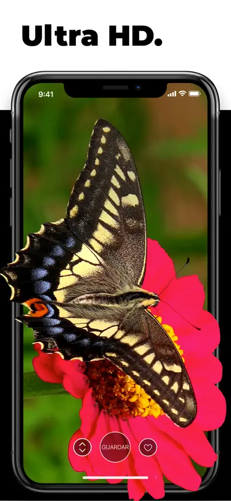 Fondos de Pantalla en Vivo