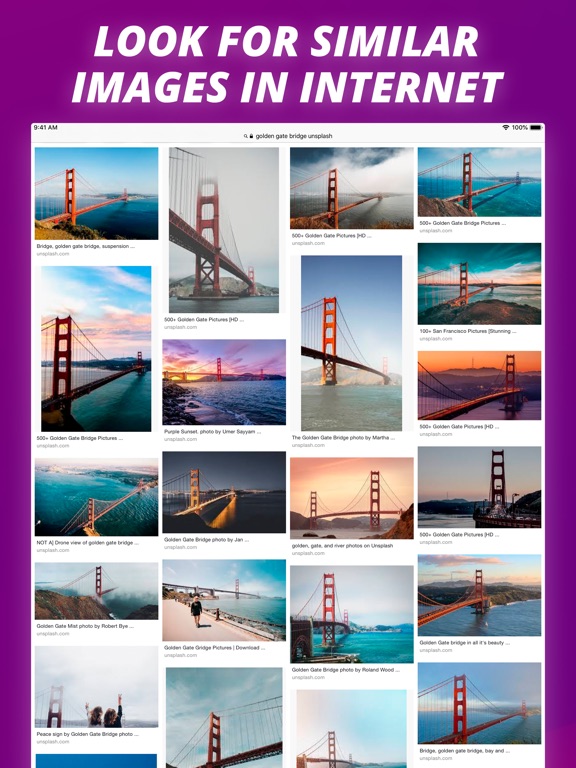 Reverse Image Search Extension Screenshots