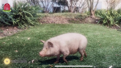 Screenshot #2 pour AR Petting Zoo