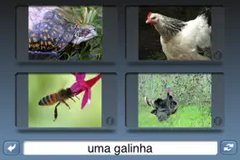 Game screenshot NounStar Portuguese mod apk
