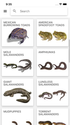 Reptiles & Amphibians of NA screenshot 1
