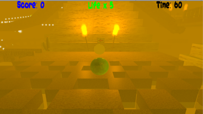 Great Marble Adventure app screenshot