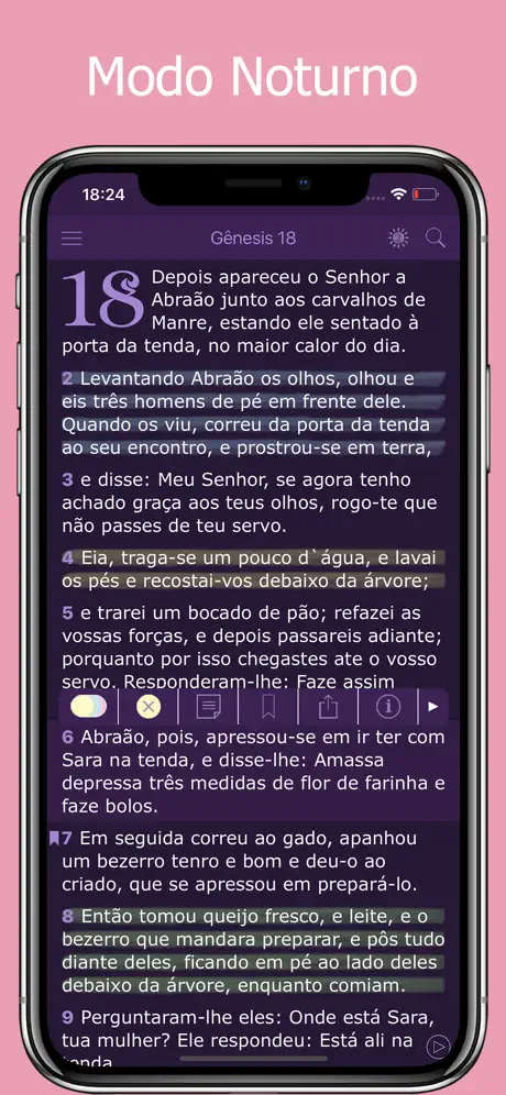 Bíblia da Mulher em Português