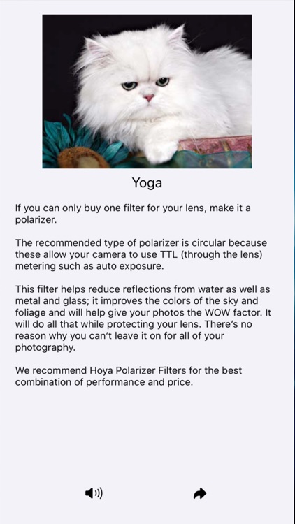 Catish WM screenshot-5