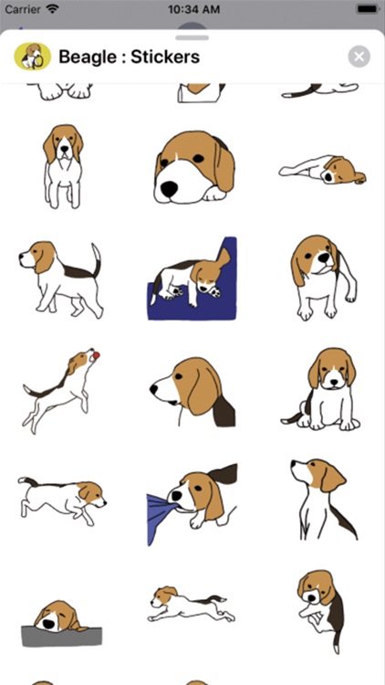 Beagle : Stickers