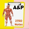 Human Anatomy & Physiology A&P icon